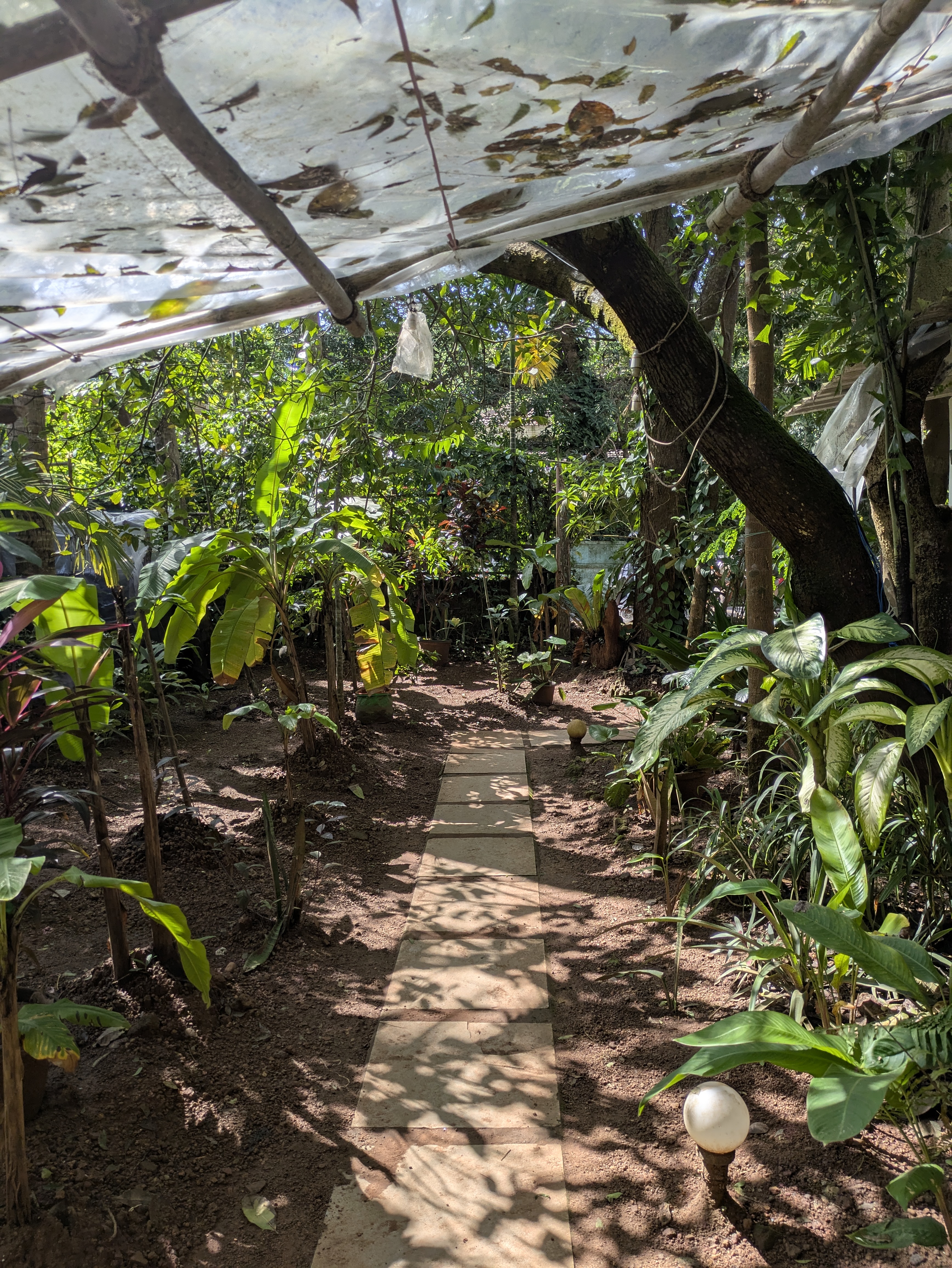 BareFoot Cafe workspace