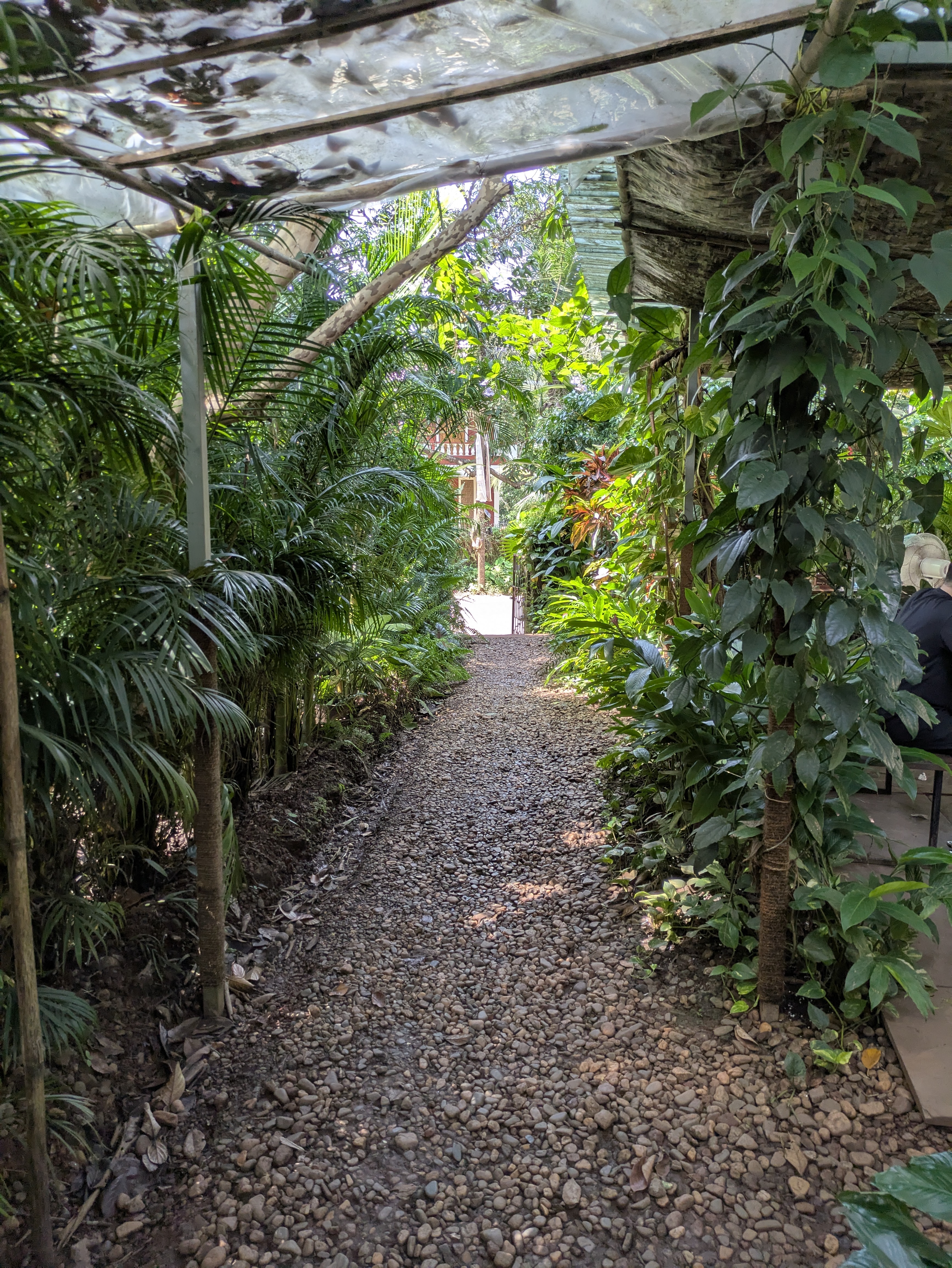 Moka garden atmosphere