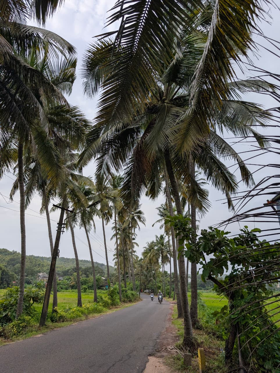 Dear Zindagi Road in Goa