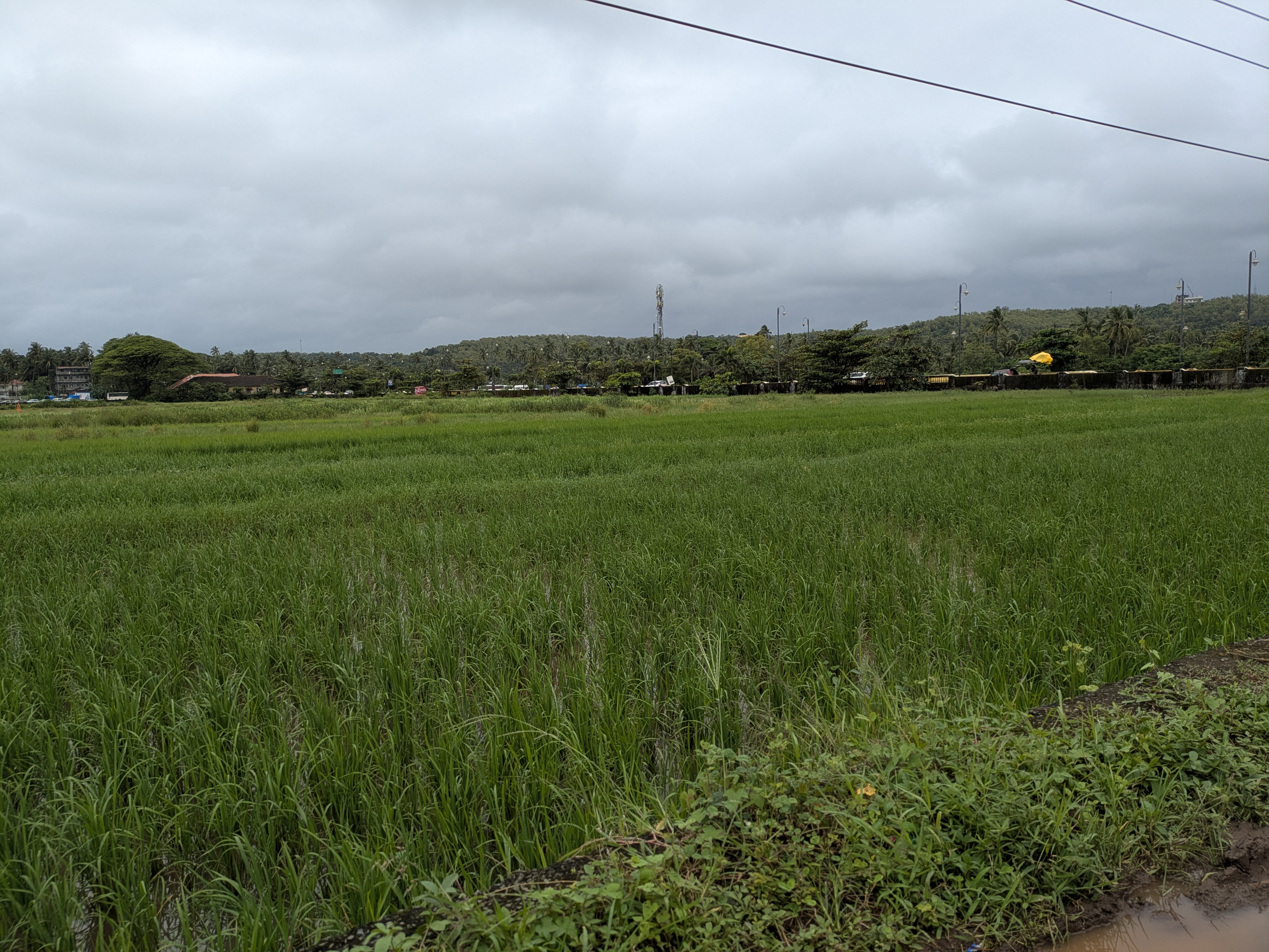 Scenic view on way to Baga Beach