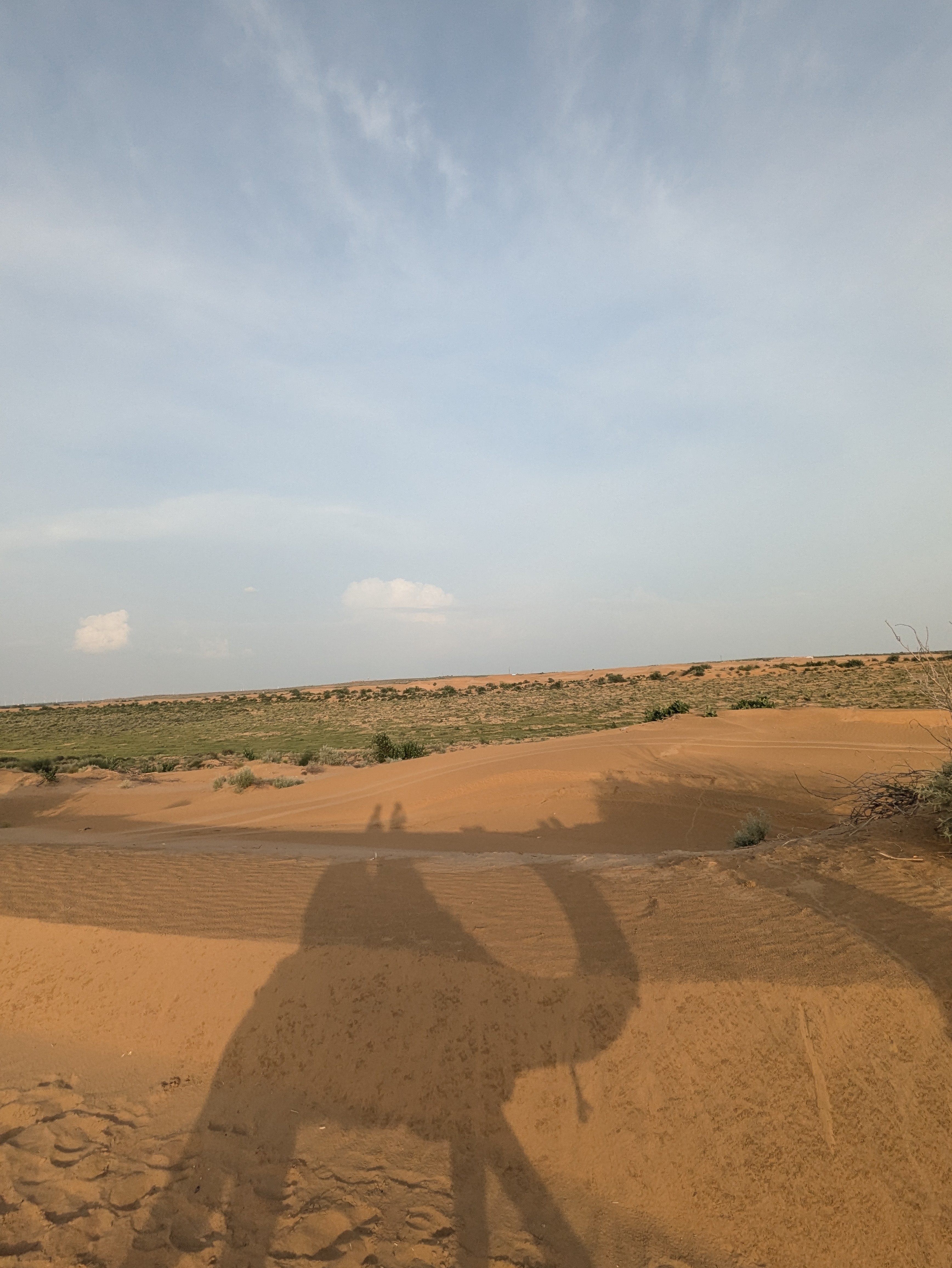 Camel Riding Shadow in Desert