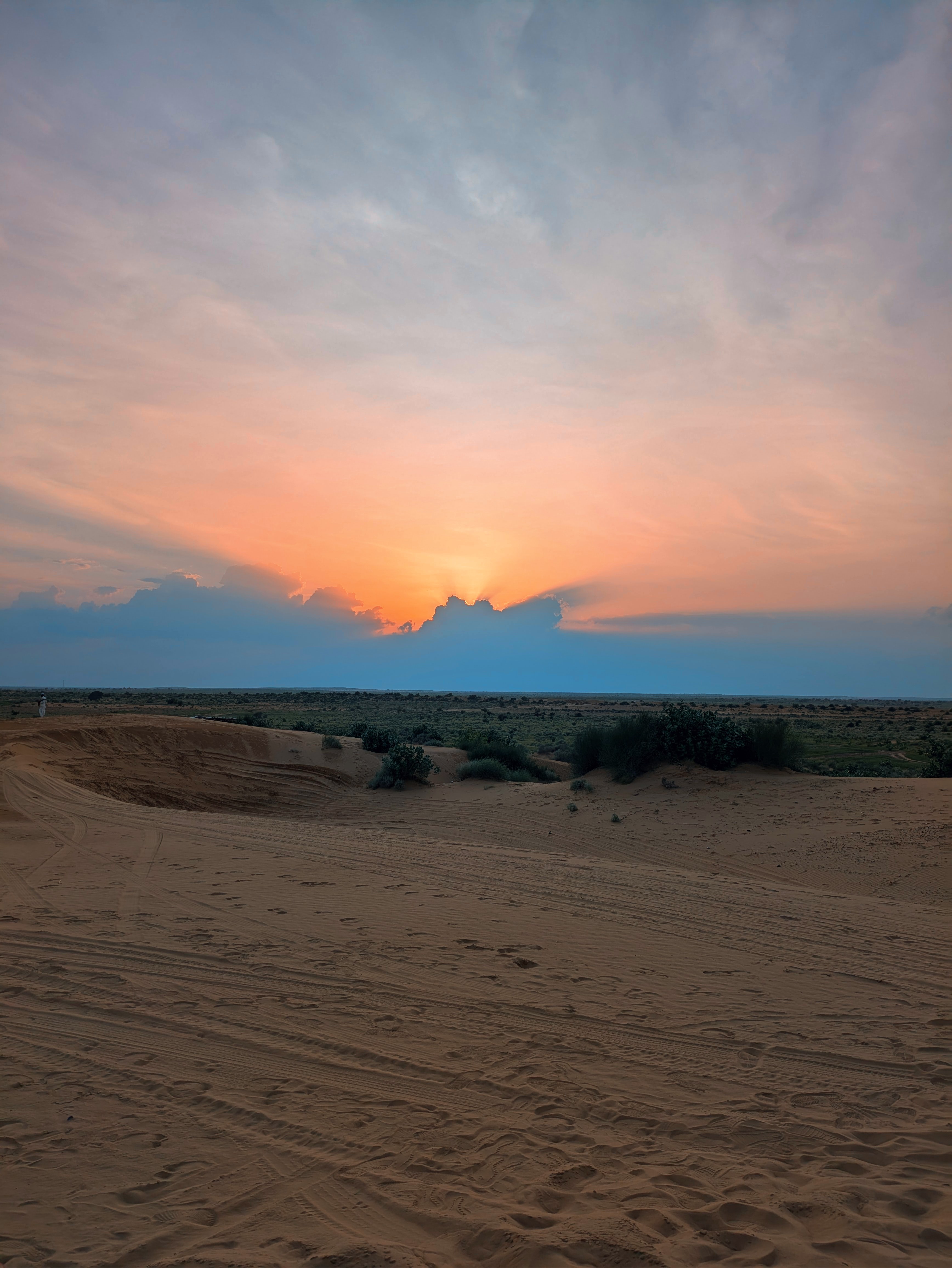 Desert Sunset