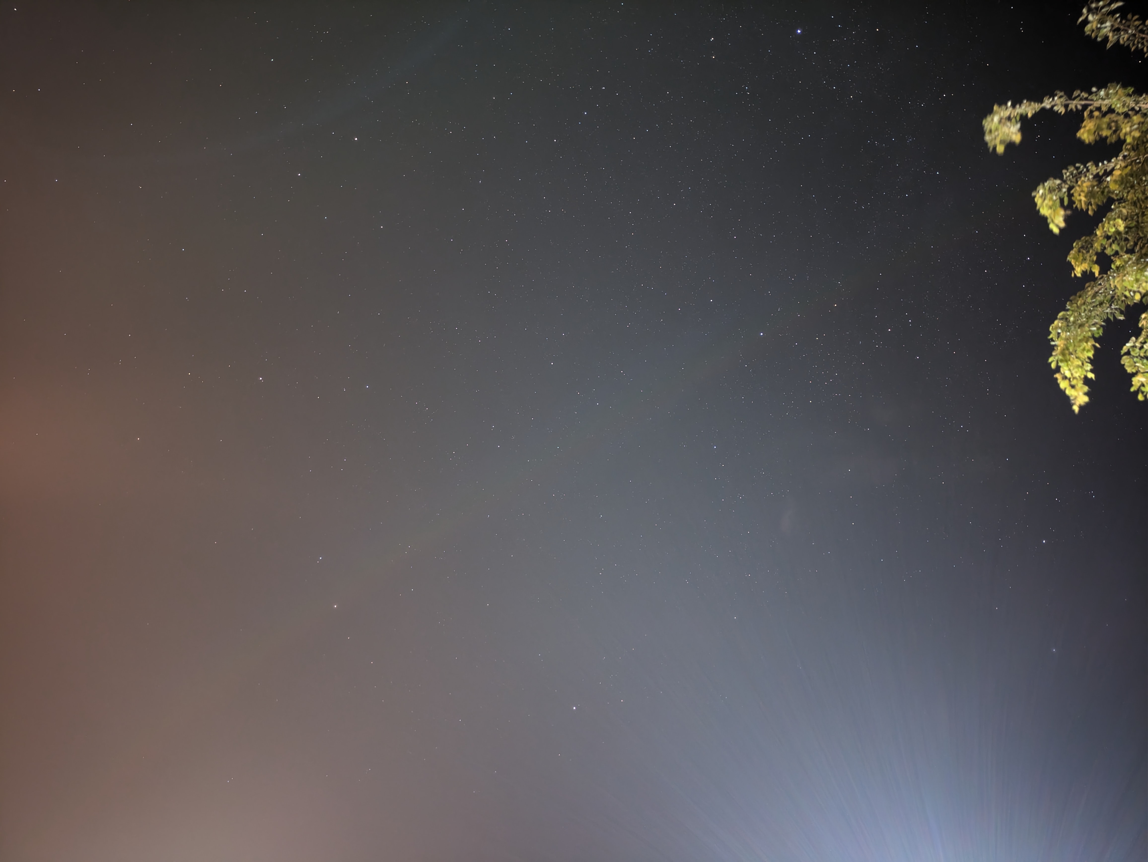 Starry Night Sky in Desert