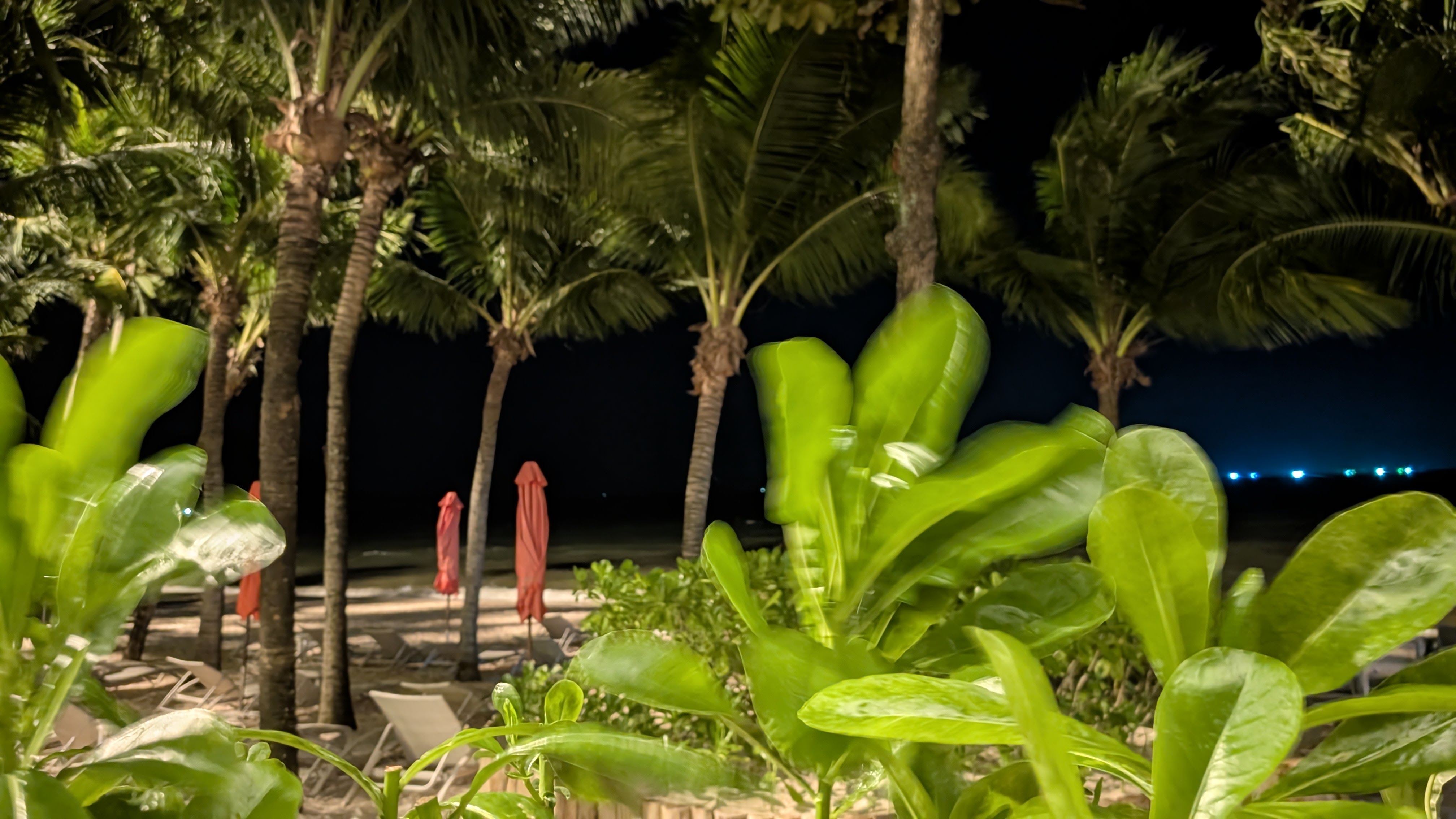 Phu Quoc Resort Dinner