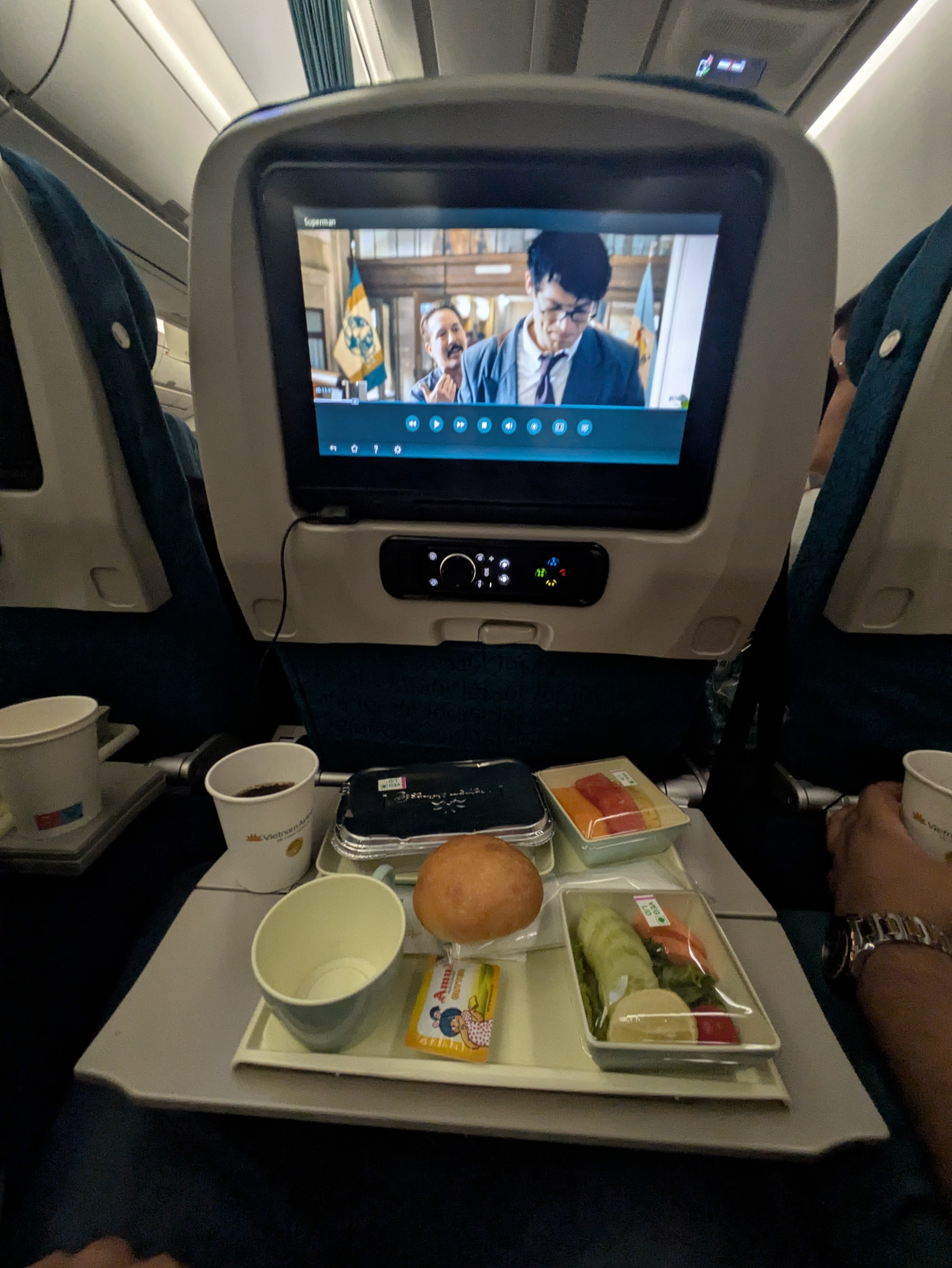 Vietnamese Airlines Experience